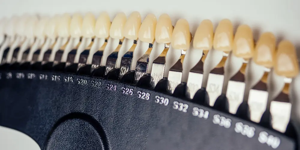 zirconia and porcelain crowns